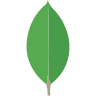 MongoDB
